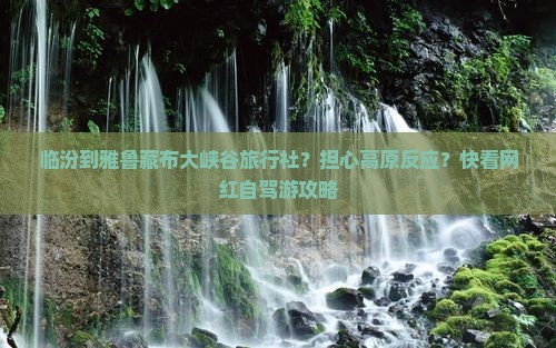 临汾到雅鲁藏布大峡谷旅行社？担心高原反应？快看网红自驾游攻略