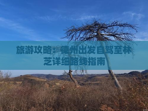 旅游攻略：德州出发自驾至林芝详细路线指南