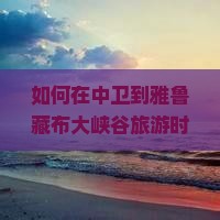 如何在中卫到雅鲁藏布大峡谷旅游时，发掘特色小吃满足味蕾需求？