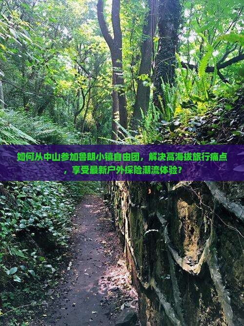 如何从中山参加鲁朗小镇自由团，解决高海拔旅行痛点，享受最新户外探险潮流体验？