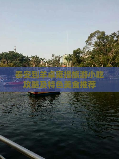 泰安到羊卓雍措旅游小吃攻略及特色美食推荐