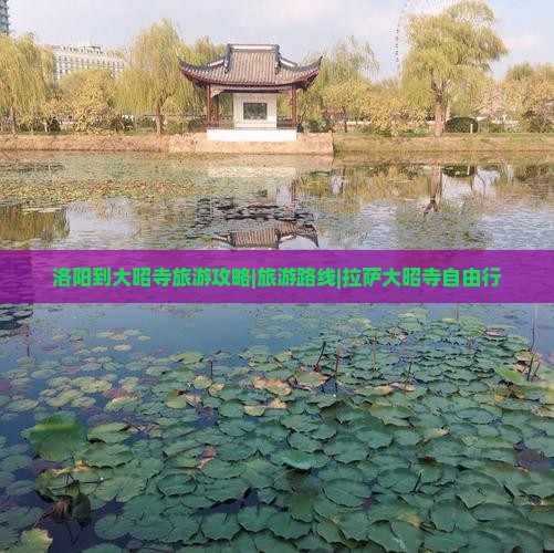 洛阳到大昭寺旅游攻略|旅游路线|拉萨大昭寺自由行