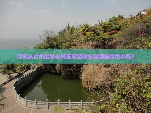 如何从沧州出发去林芝旅游时必尝哪些特色小吃？