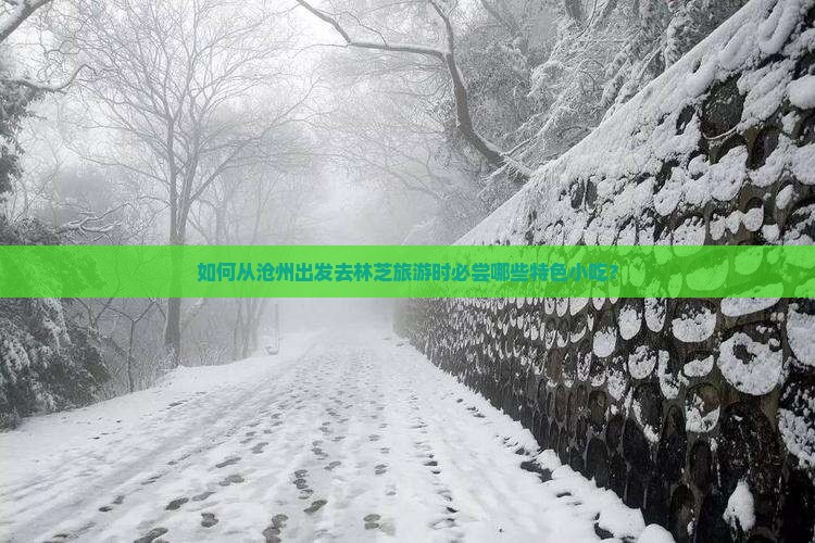 如何从沧州出发去林芝旅游时必尝哪些特色小吃？