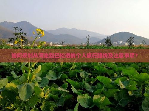 如何规划从河池到巴松措的个人旅行路线及注意事项？