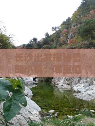 长沙出发探秘鲁朗小镇：哪里值得一游