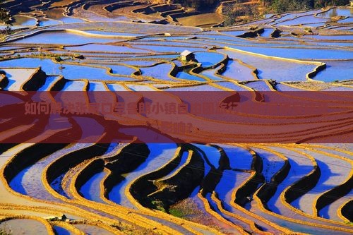 如何解决张家口至鲁朗小镇自由团旅行中的高原反应及影响？