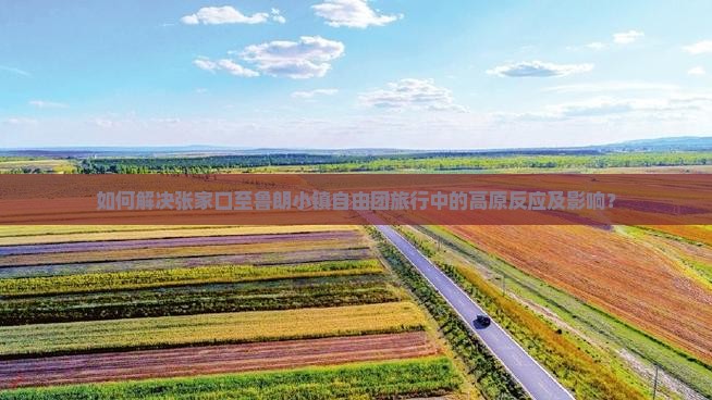 如何解决张家口至鲁朗小镇自由团旅行中的高原反应及影响？