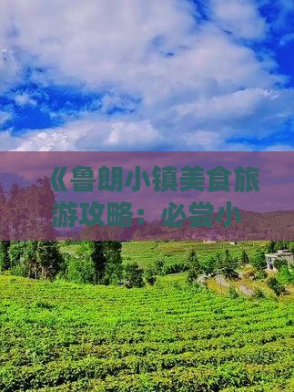 《鲁朗小镇美食旅游攻略：必尝小吃一览》