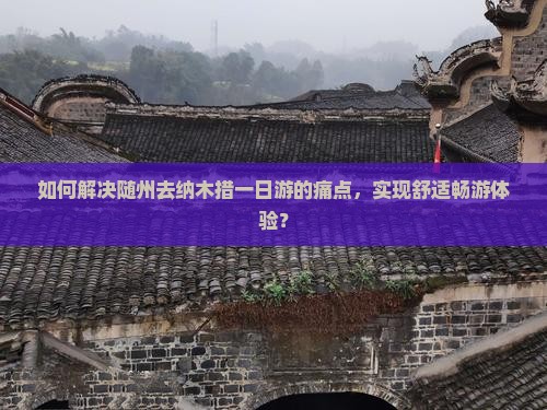 如何解决随州去纳木措一日游的痛点，实现舒适畅游体验？