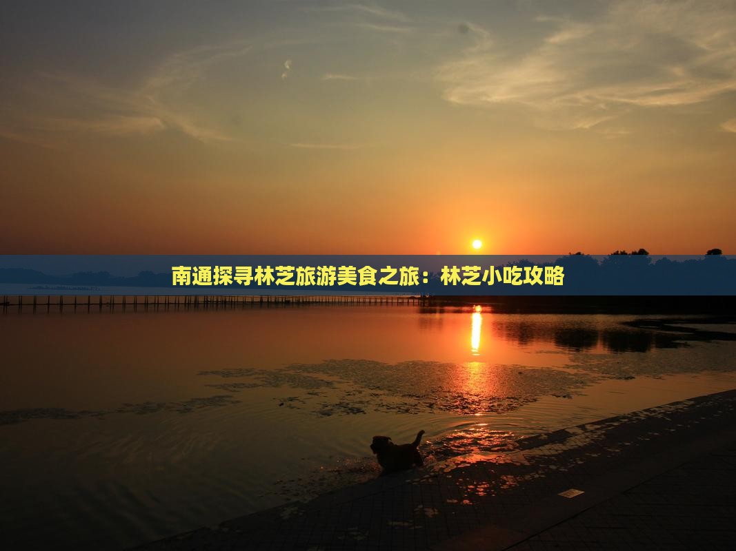 南通探寻林芝旅游美食之旅：林芝小吃攻略