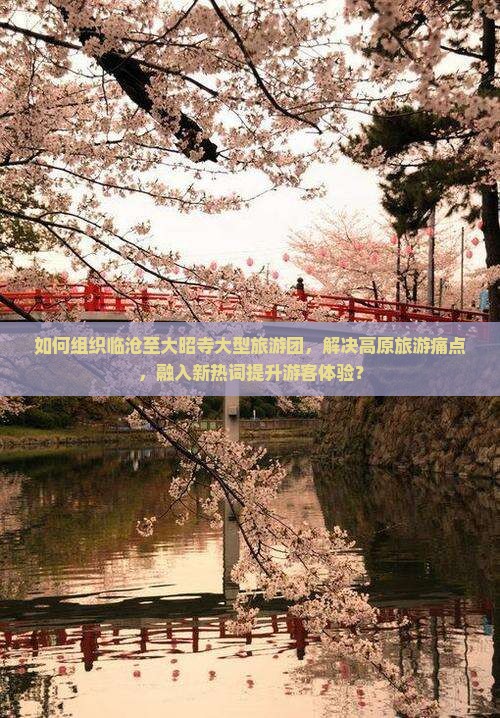 如何组织临沧至大昭寺大型旅游团，解决高原旅游痛点，融入新热词提升游客体验？