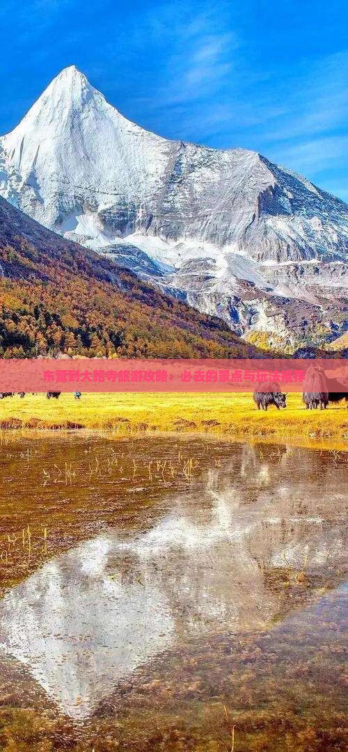 东营到大昭寺旅游攻略：必去的景点与玩法推荐