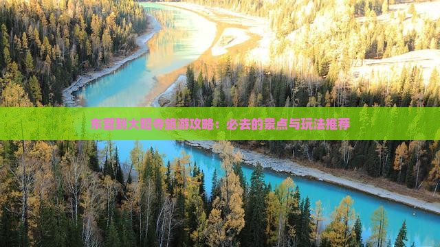 东营到大昭寺旅游攻略：必去的景点与玩法推荐