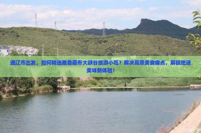 通辽市出发，如何精选雅鲁藏布大峡谷旅游小吃？解决高原美食痛点，解锁地道美味新体验！