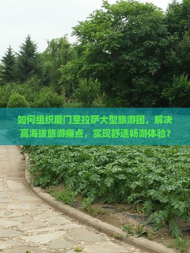 如何组织厦门至拉萨大型旅游团，解决高海拔旅游痛点，实现舒适畅游体验？