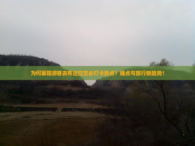 为何襄阳游客去布达拉宫必打卡热点？痛点与旅行新趋势！