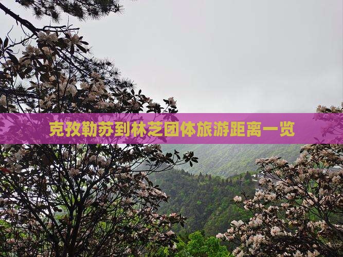 克孜勒苏到林芝团体旅游距离一览