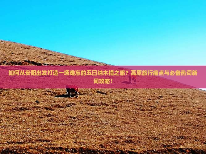 如何从安阳出发打造一场难忘的五日纳木措之旅？高原旅行痛点与必备热词新词攻略！