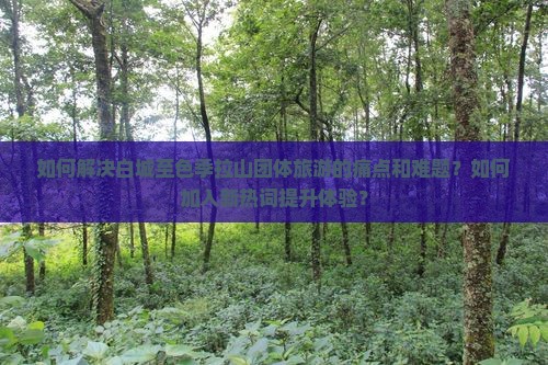 如何解决白城至色季拉山团体旅游的痛点和难题？如何加入新热词提升体验？