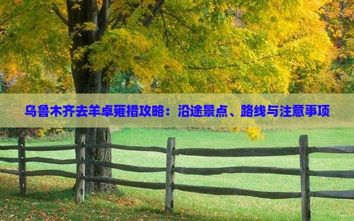 乌鲁木齐去羊卓雍措攻略：沿途景点、路线与注意事项