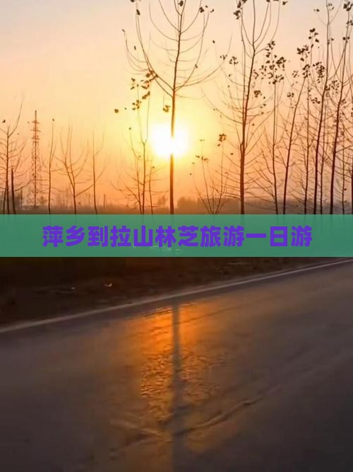 萍乡到拉山林芝旅游一日游