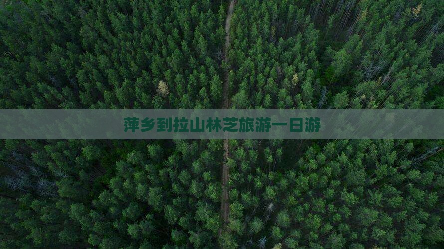 萍乡到拉山林芝旅游一日游