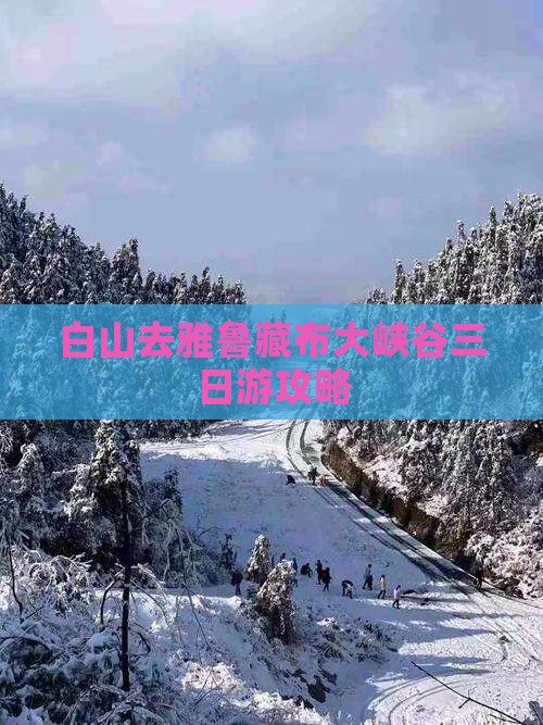 白山去雅鲁藏布大峡谷三日游攻略