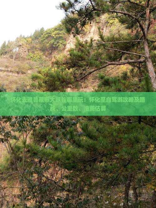 怀化去雅鲁藏布大峡谷哪里玩：怀化至自驾游攻略及路线、公里数、油费估算