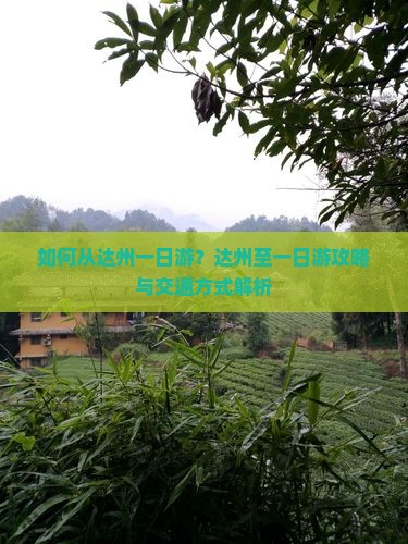 如何从达州一日游？达州至一日游攻略与交通方式解析