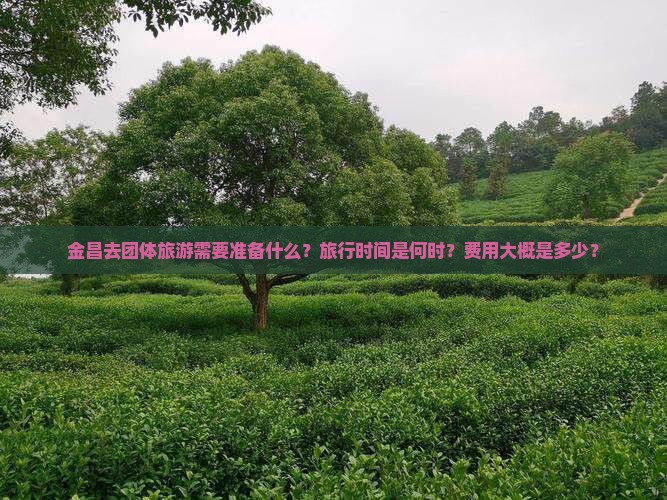 金昌去团体旅游需要准备什么？旅行时间是何时？费用大概是多少？