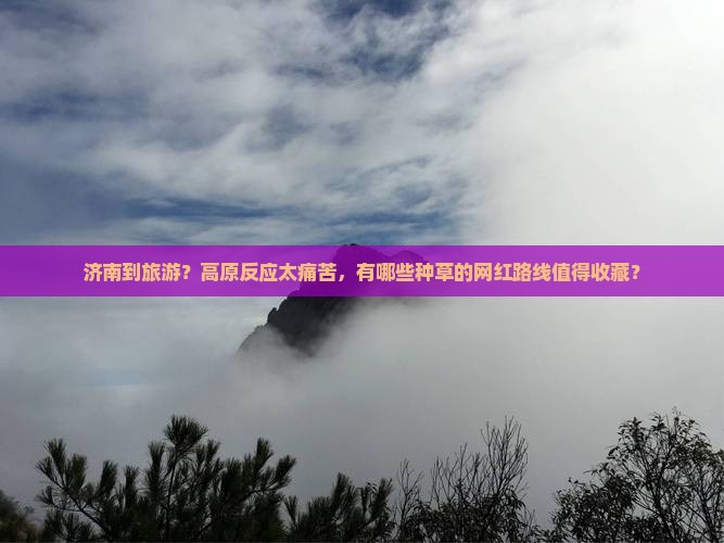 济南到旅游？高原反应太痛苦，有哪些种草的网红路线值得收藏？