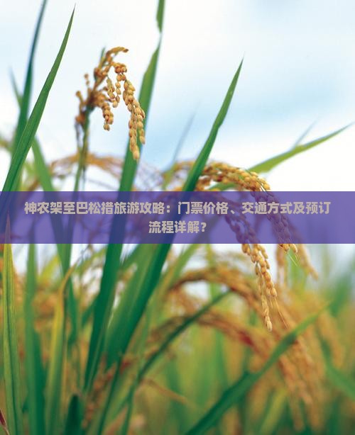 神农架至巴松措旅游攻略：门票价格、交通方式及预订流程详解？