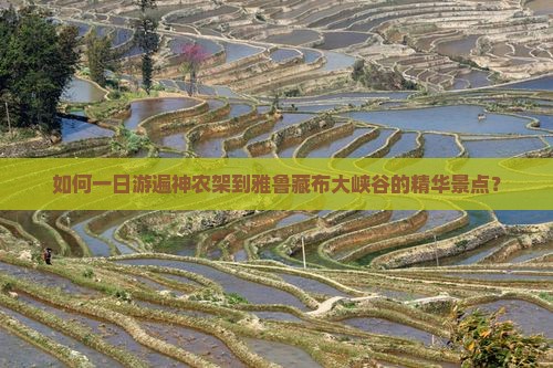 如何一日游遍神农架到雅鲁藏布大峡谷的精华景点？