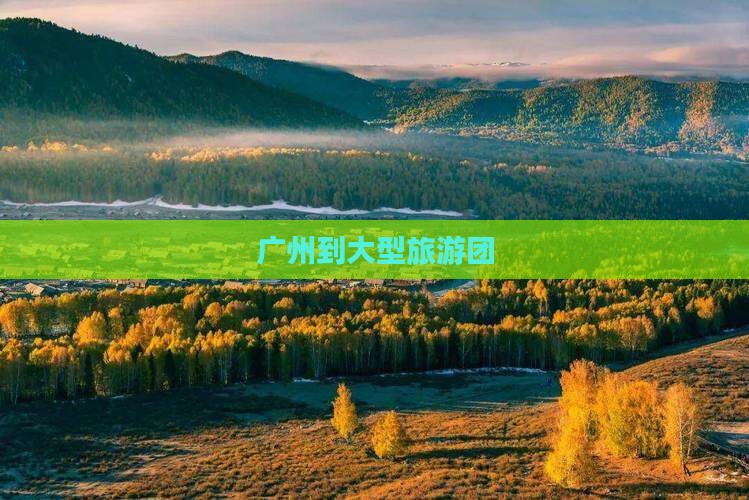 广州到大型旅游团