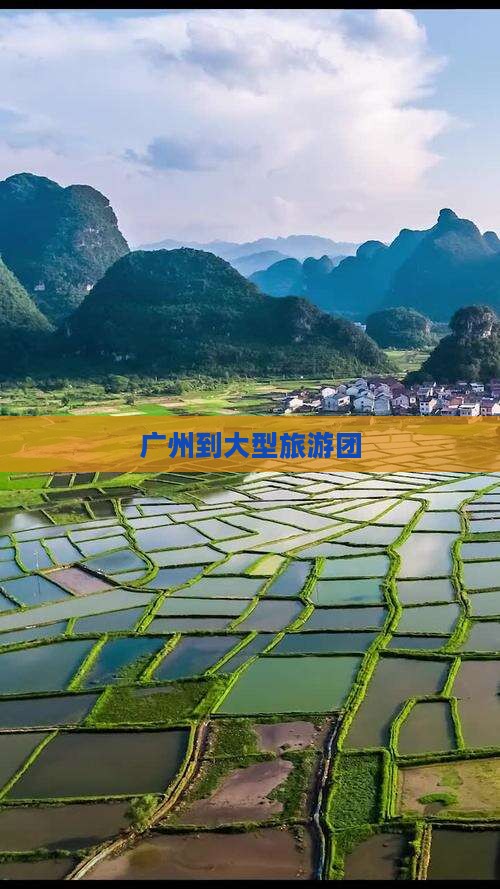 广州到大型旅游团