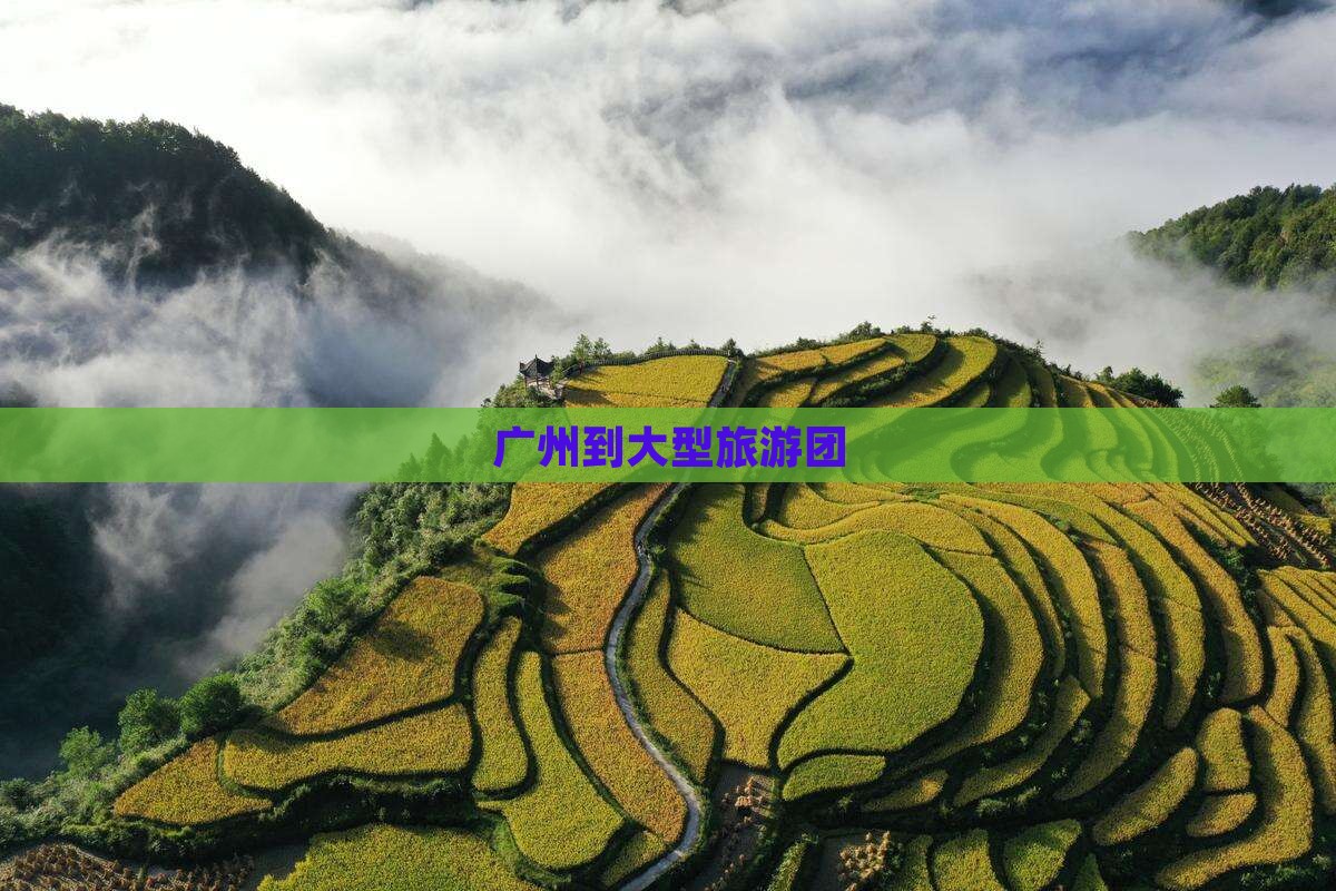 广州到大型旅游团