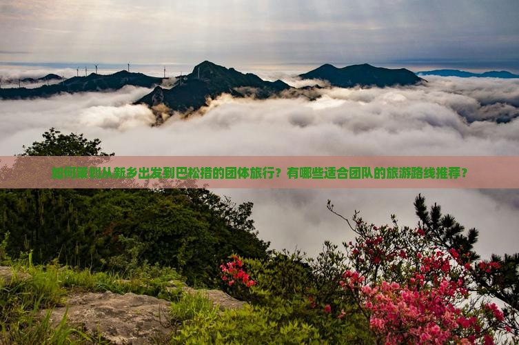 如何策划从新乡出发到巴松措的团体旅行？有哪些适合团队的旅游路线推荐？