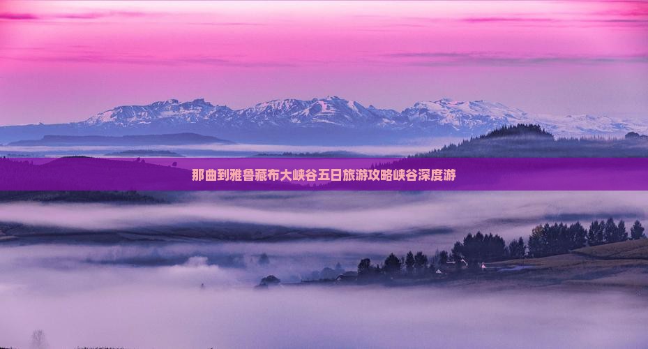 那曲到雅鲁藏布大峡谷五日旅游攻略峡谷深度游