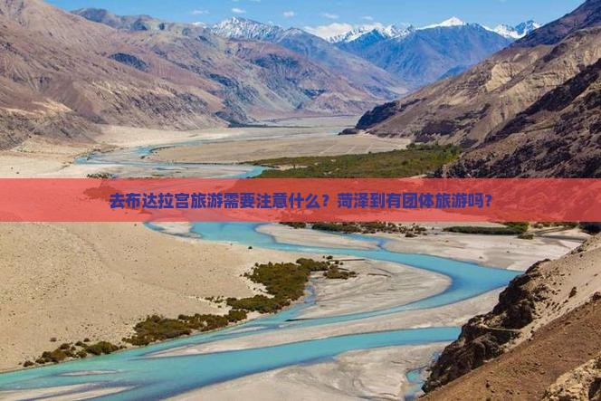 去布达拉宫旅游需要注意什么？菏泽到有团体旅游吗？