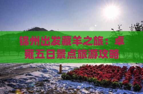 锦州出发藏羊之旅：卓雍五日景点旅游攻略