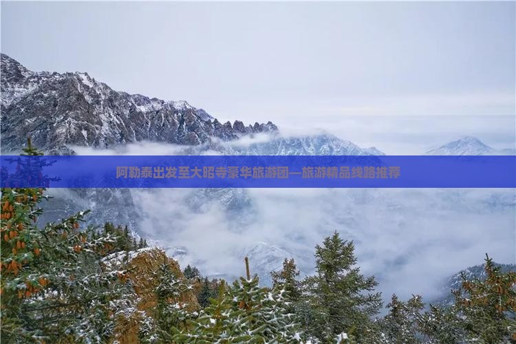 阿勒泰出发至大昭寺豪华旅游团—旅游精品线路推荐
