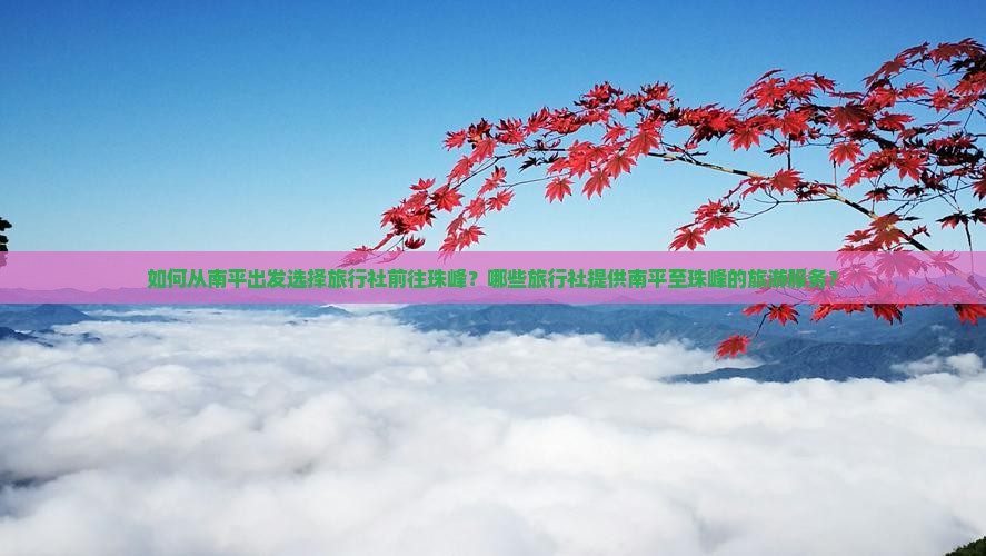 如何从南平出发选择旅行社前往珠峰？哪些旅行社提供南平至珠峰的旅游服务？