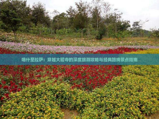 喀什至拉萨：穿越大昭寺的深度旅游攻略与经典路线景点指南