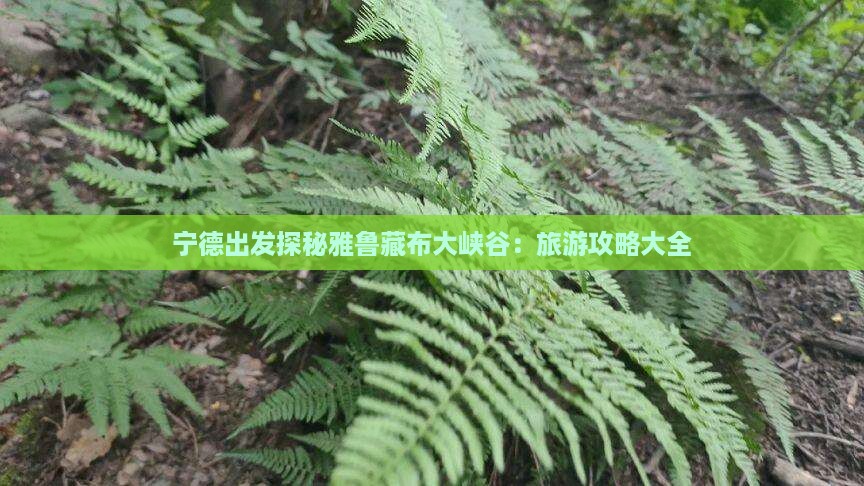 宁德出发探秘雅鲁藏布大峡谷：旅游攻略大全