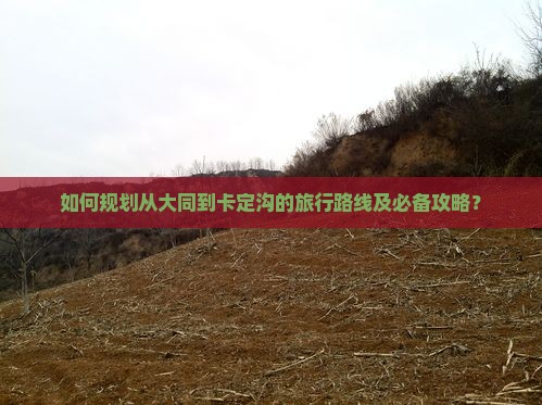 如何规划从大同到卡定沟的旅行路线及必备攻略？