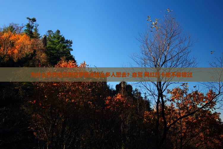 为什么齐齐哈尔到拉萨景点这么多人想去？自驾+网红打卡地不容错过