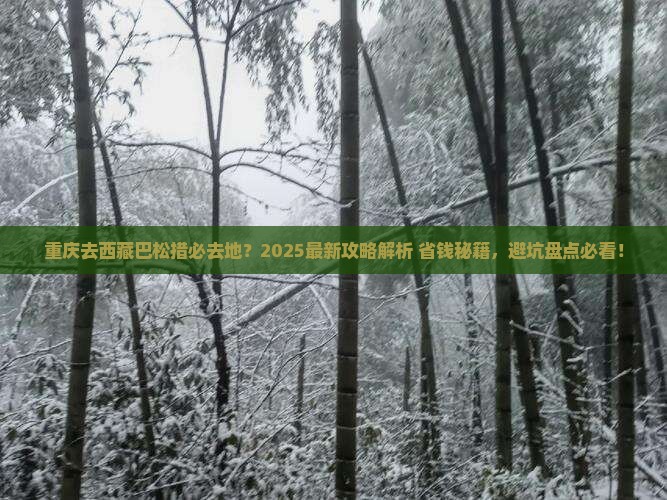 重庆去西藏巴松措必去地