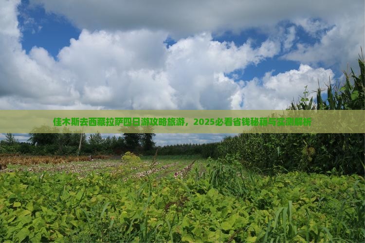 佳木斯去西藏拉萨四日游 佳木斯去西藏拉萨四日游