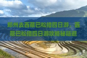 郑州去西藏巴松措四日游